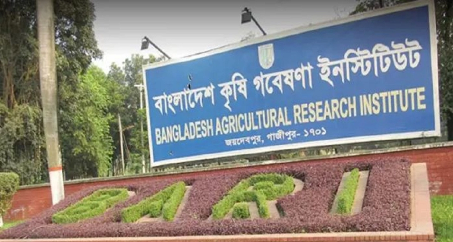 বাংলাদেশ কৃষি গবেষণা ইনস্টিটিউটে বিশাল চাকরির সুযোগ