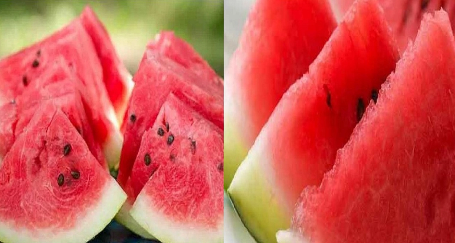 জানেন কী হয় তরমুজের উপর লবণ ছড়িয়ে খেলে?