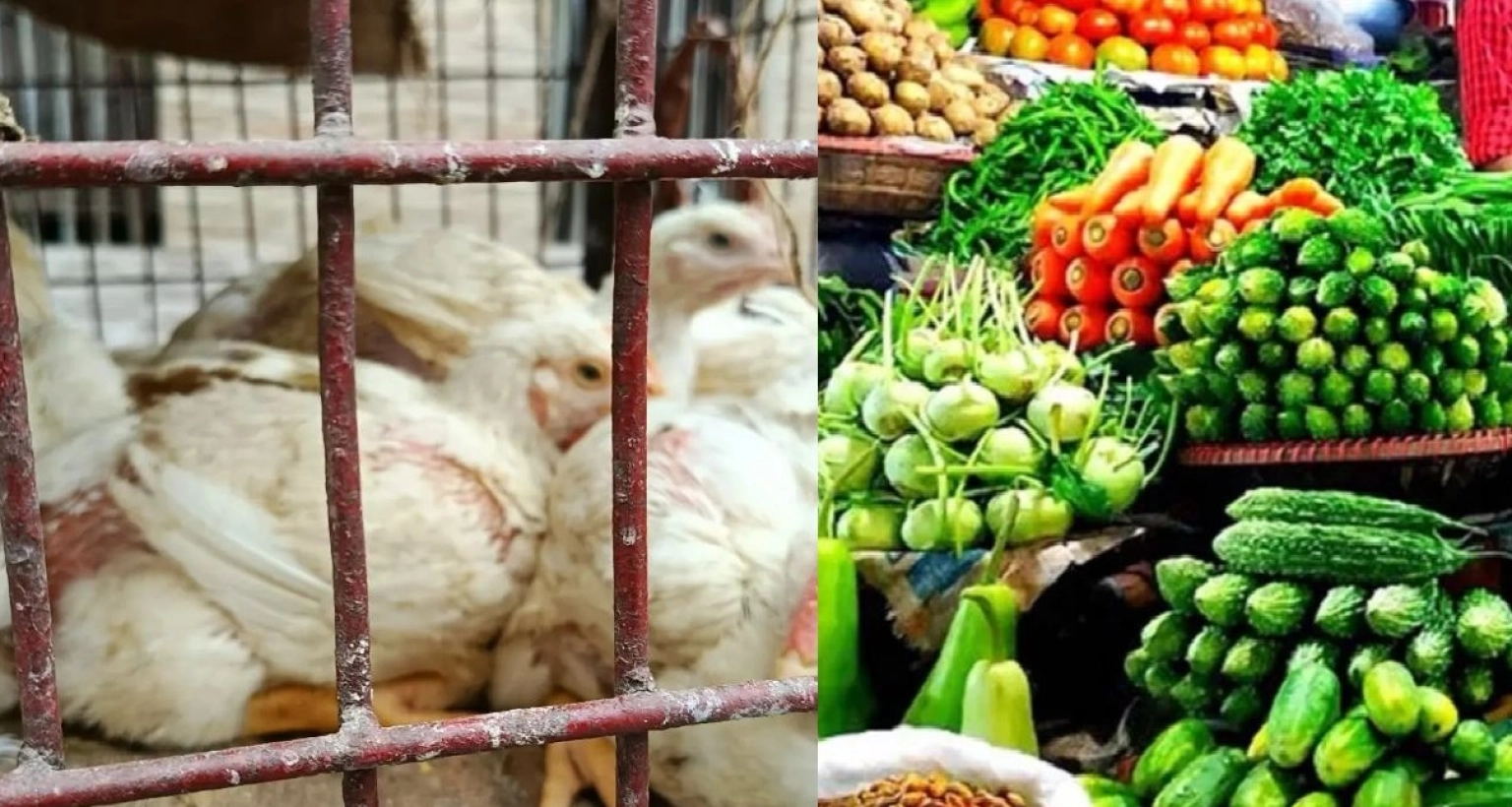 রাজধানীতে অর্ধেকে নেমে এসেছে মুরগি বিক্রি