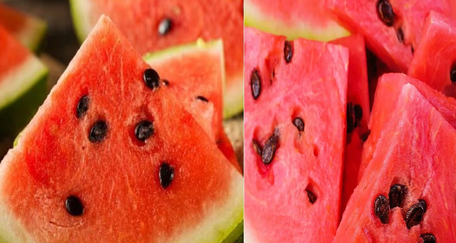 জানেন কী হয় ভুলে তরমুজের বীজ খেয়ে ফেললে?