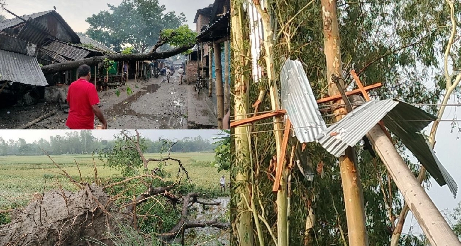 কালবৈশাখীর ভয়াবহ রূপ, লন্ডভন্ড কয়েক ইউনিয়ন