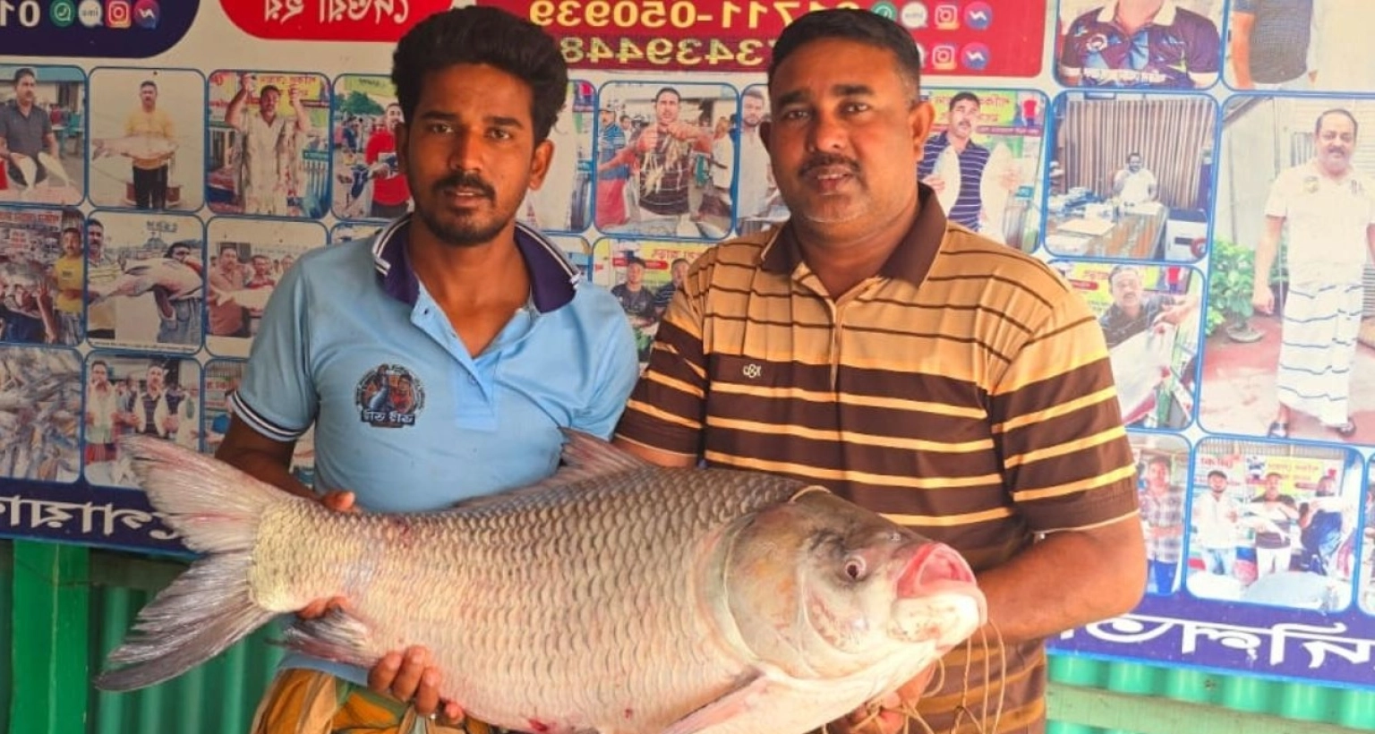 ৪৩ হাজার টাকায় বিক্রি হলো এই কাতল মাছটি