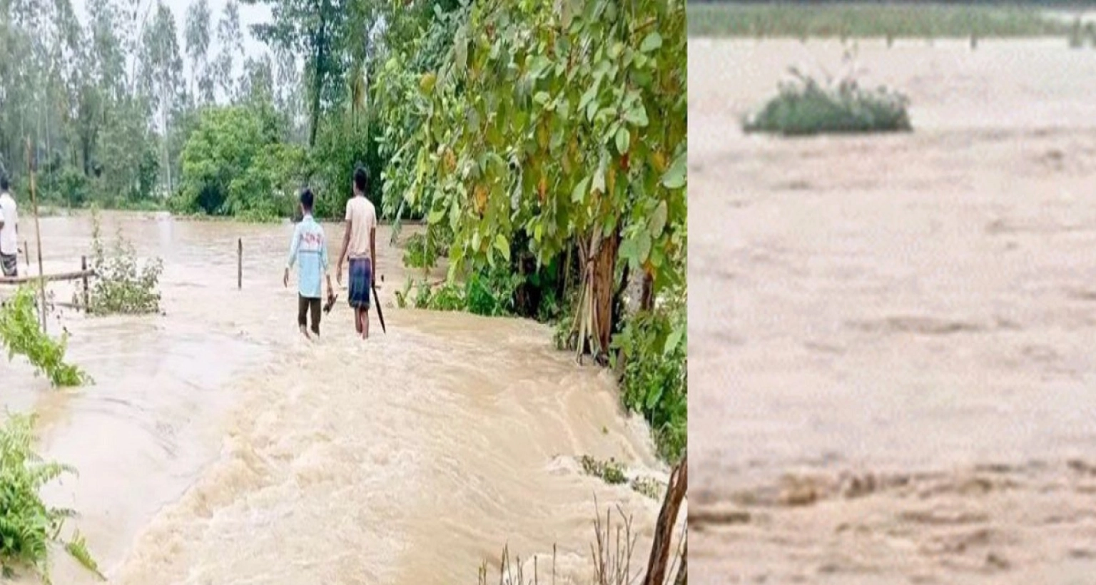 বাঁধ ভেঙে পানির নিচে ২০ গ্রাম, তলিয়ে গেছে ধানসহ বিভিন্ন ফসল