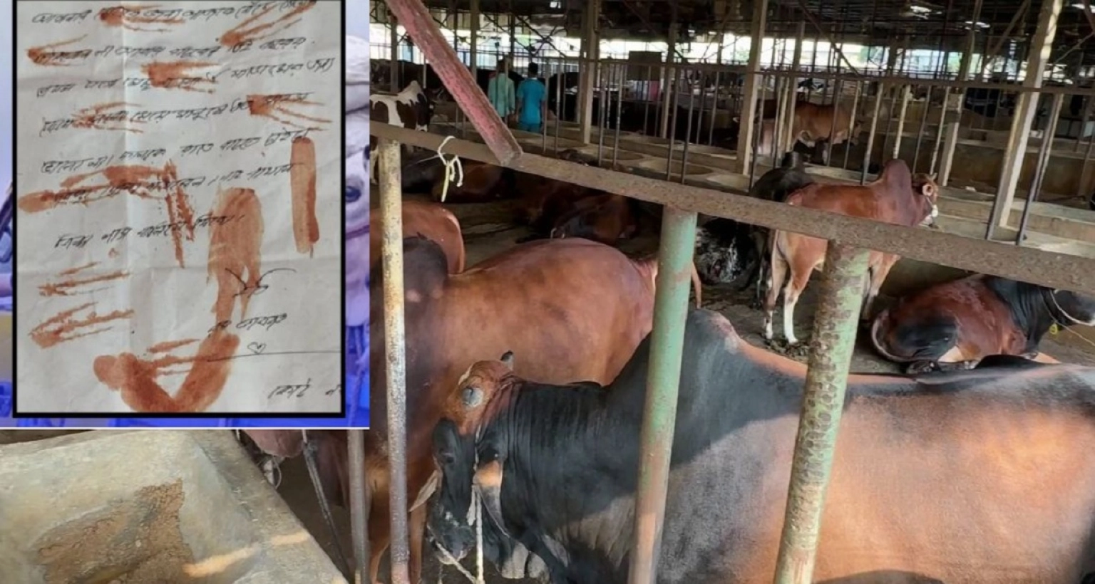  খামারিদের বাড়িতে বাড়িতে রক্তমাখা চিঠি; ডাকাতি করতে আসবো, দরজা না খুললে ‘জিন্দা খালাস’