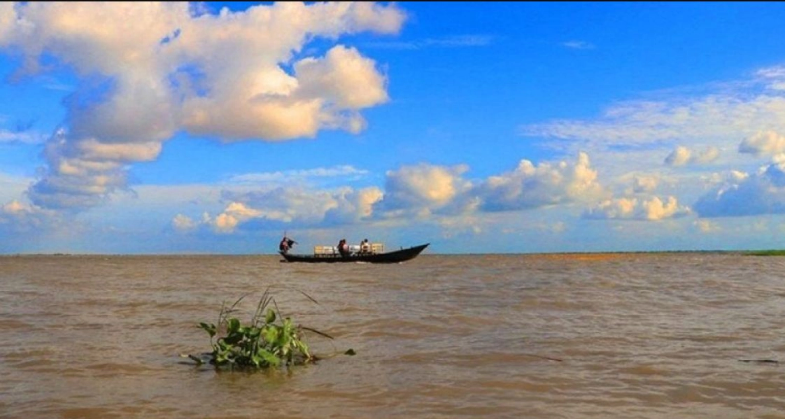 ঝড়ের-কবলে-ট্রলারডুবি-২৩-কোরবানির-গরুসহ-ব্যবসায়ী-নিখোঁজ