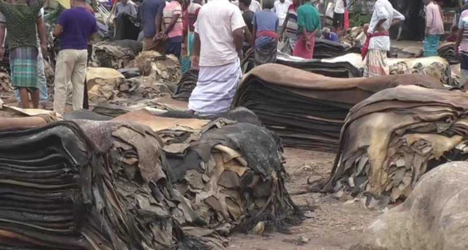 সরকারের এবার যে বিশেষ উদ্যোগ কোরবানির চামড়া নিয়ে
