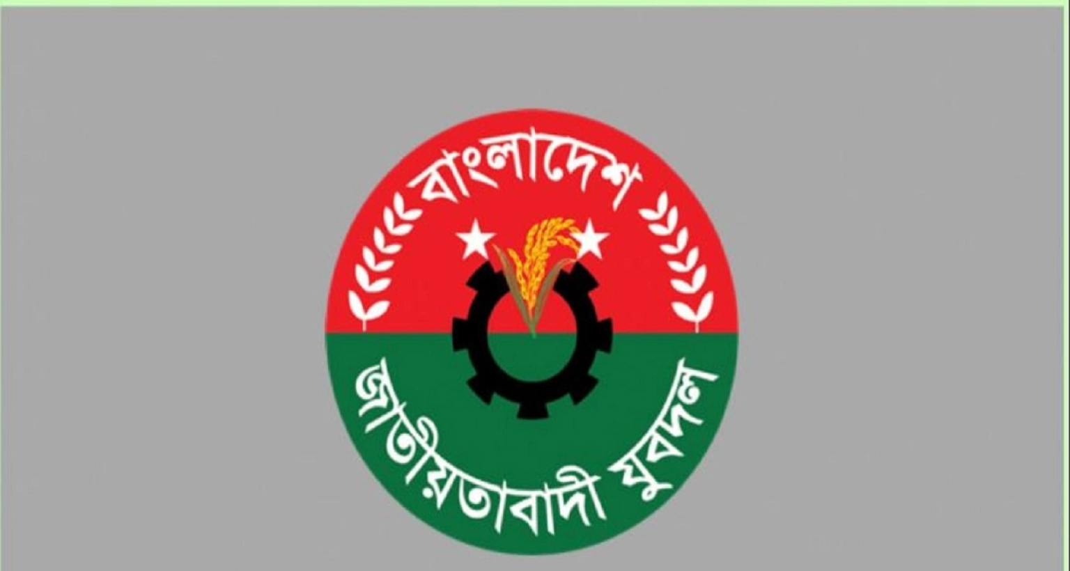 ঘোষণা করা হলো যুবদলের পূর্ণাঙ্গ কমিটি 