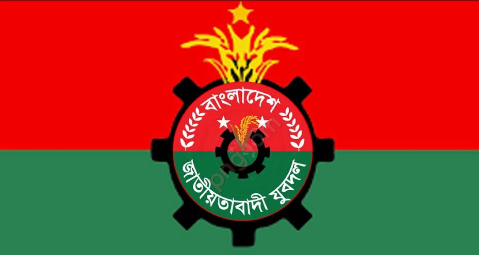 মুন্না সভাপতি ও নয়ন সাধারণ সম্পাদক, যারা আছেন যুবদলের ১৫১ সদস্যের কমিটিতে