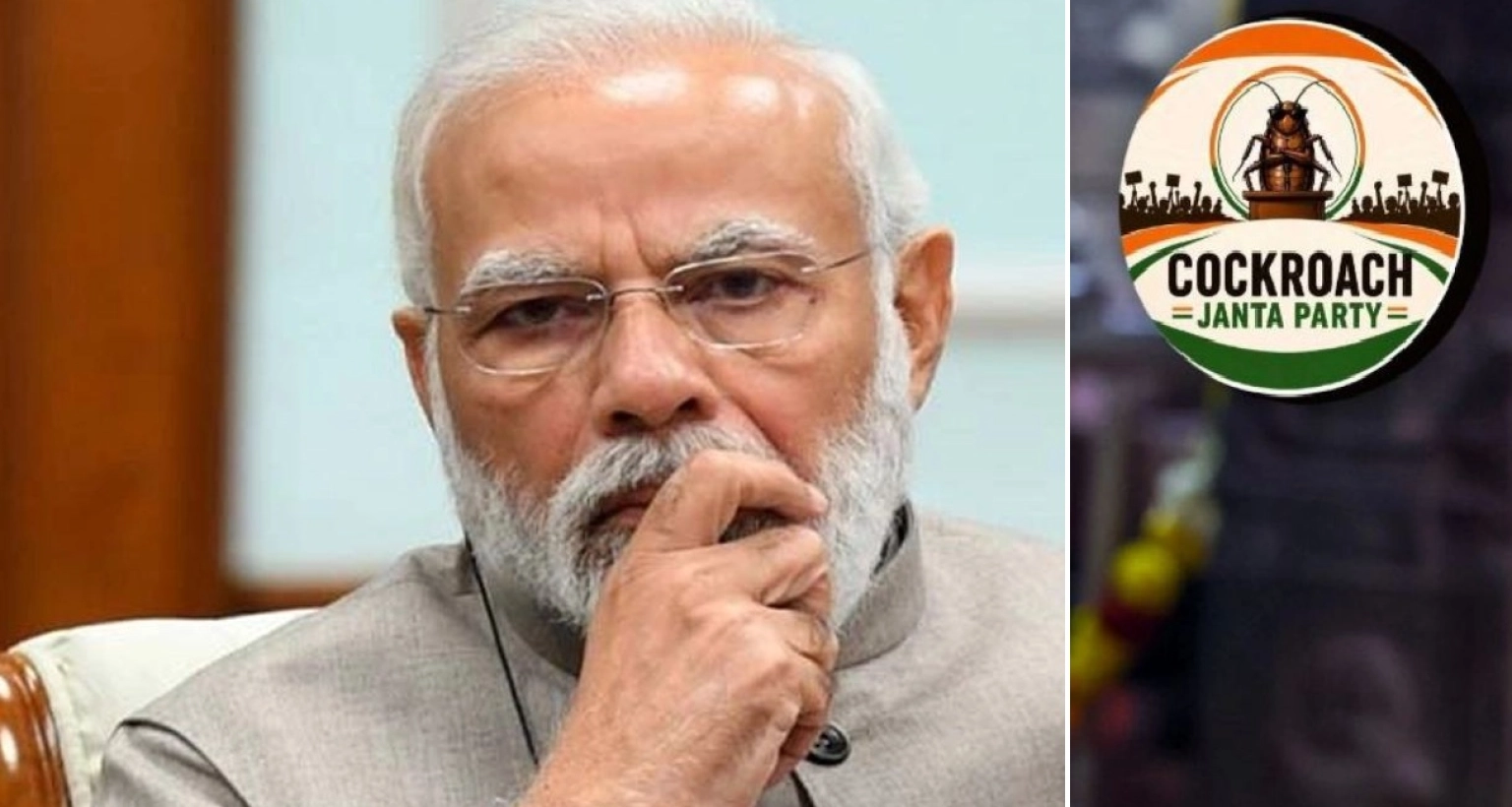 কেন রাতারাতি ব্যাপক জনপ্রিয় উঠছে ‘তেলাপোকা পার্টি’?