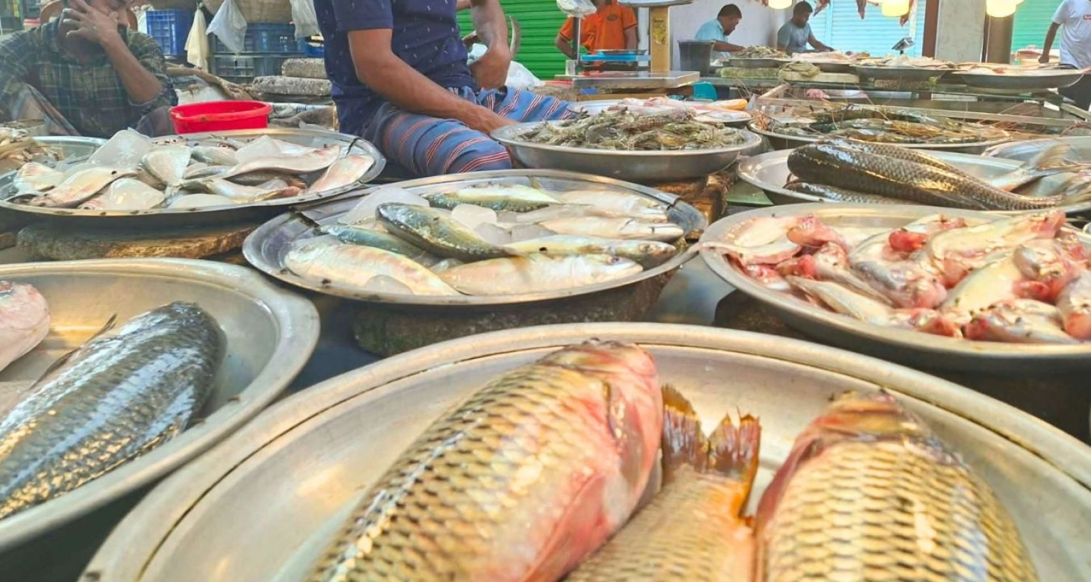 'মাংসের দাম কমলেও মাছের দাম বাড়তি'