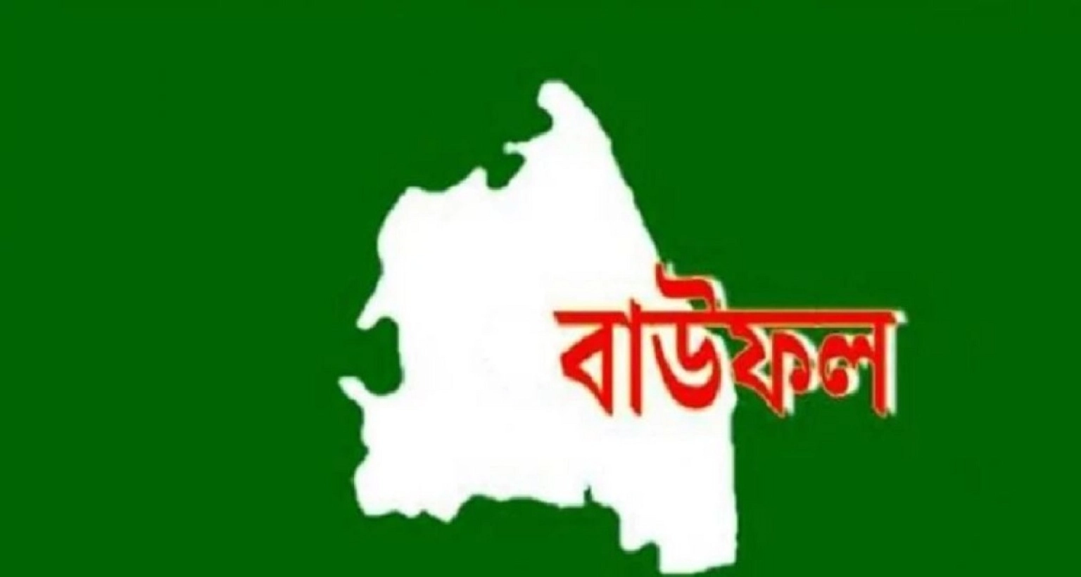 বিএনপির-শোডাউনের-মিছিলে-নিষিদ্ধ-ছাত্রলীগ-ও-যুবলীগের-হামলা
