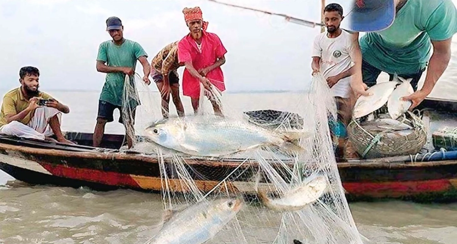 ভরা-মৌসুমে-কেমন-ইলিশ-ধরা-পড়ছে-জানালেন-জেলেরা