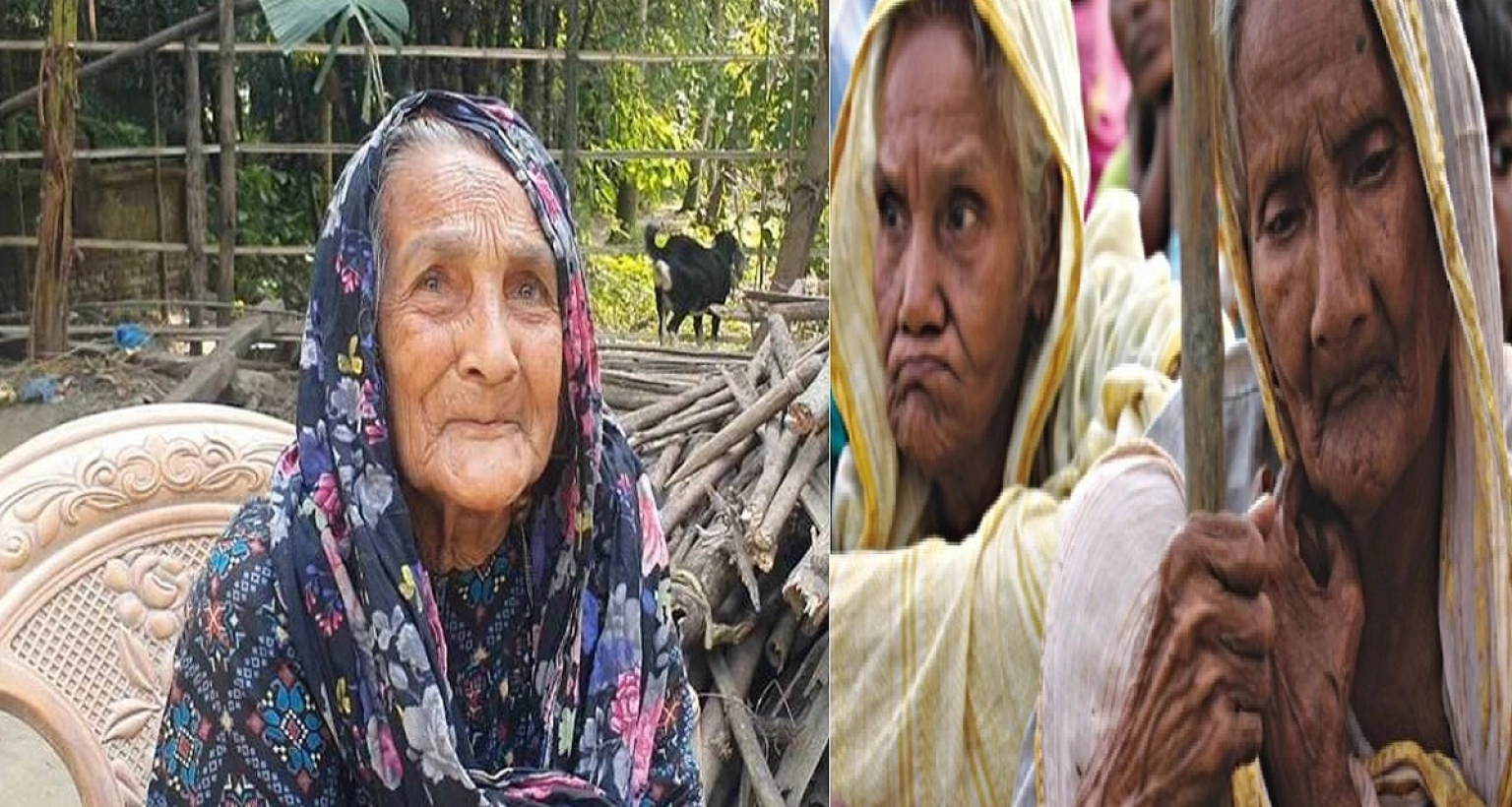 যা করলে মিলবে বয়স্ক-বিধবা-প্রতিবন্ধী ভাতা, যেভাবে আবেদন