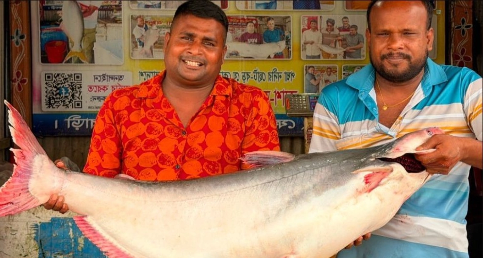 ৩৩ হাজার টাকায় বিক্রি হলো এক পাঙাশ মাছ