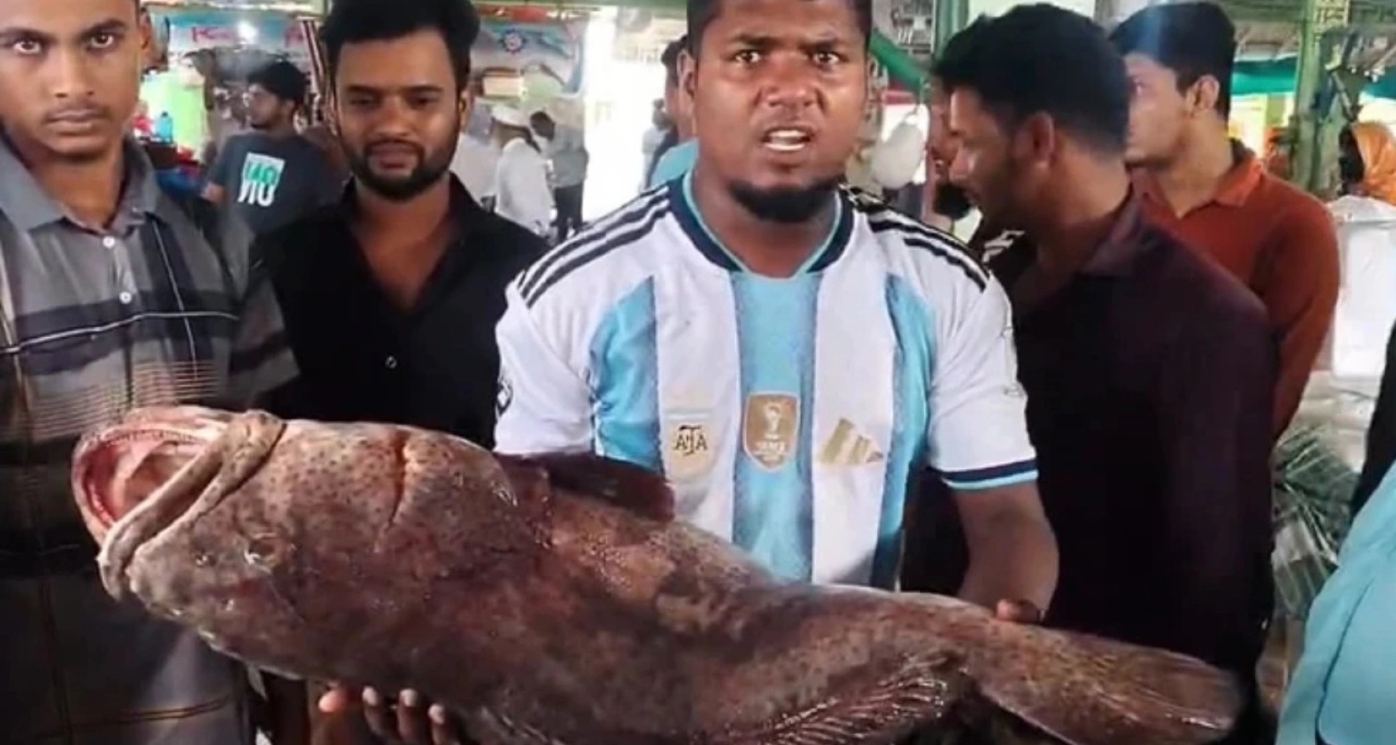 মাছটি-এক-নজর-দেখতে-স্থানীয়-জেলে-ব্যবসায়ী-ও-সাধারণ-মানুষের-ভিড়