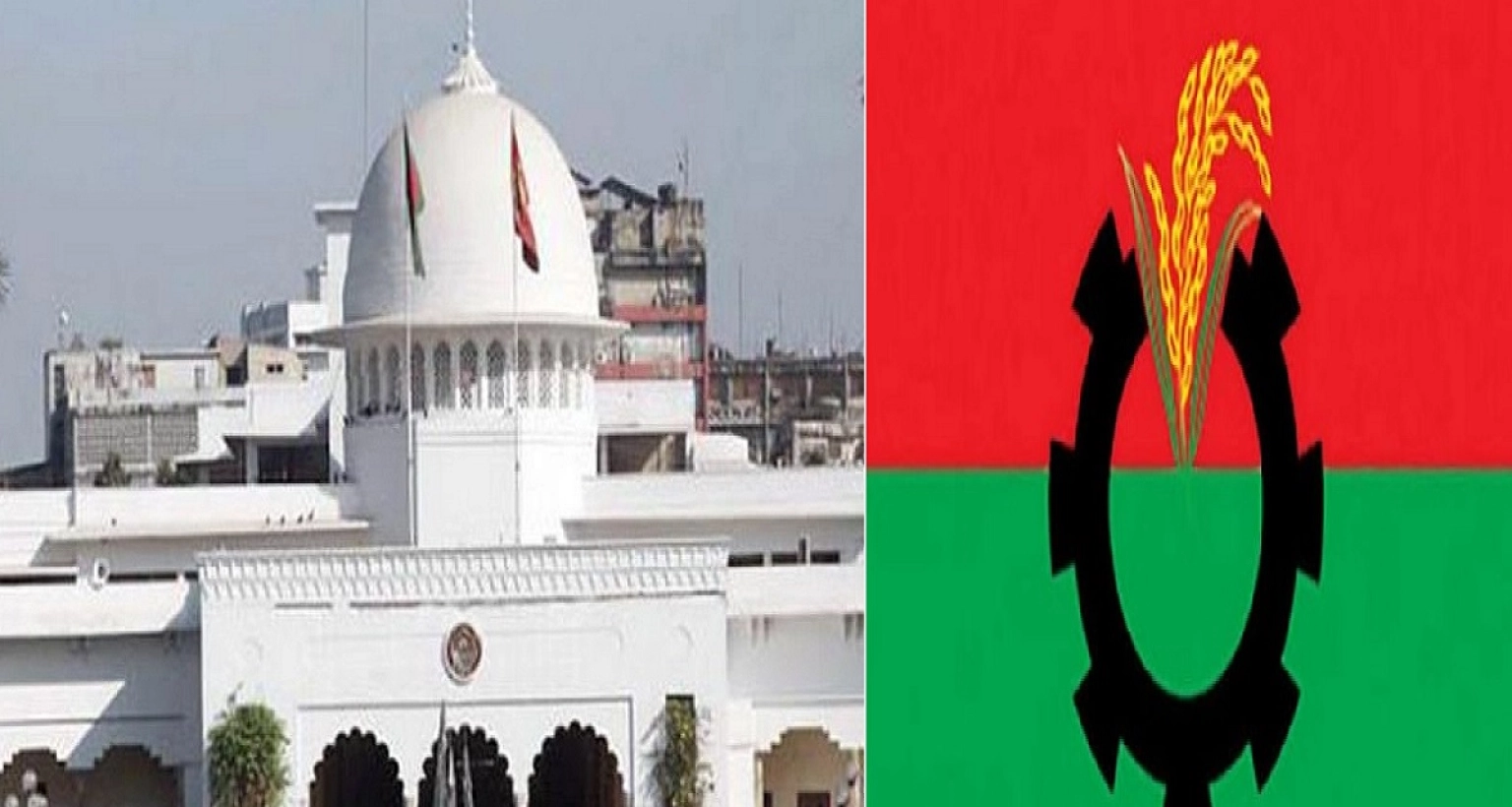 রাষ্ট্রপতি পদে কার নাম চূড়ান্ত? যা জানাল বিএনপির উচ্চপর্যায়ের সূত্র