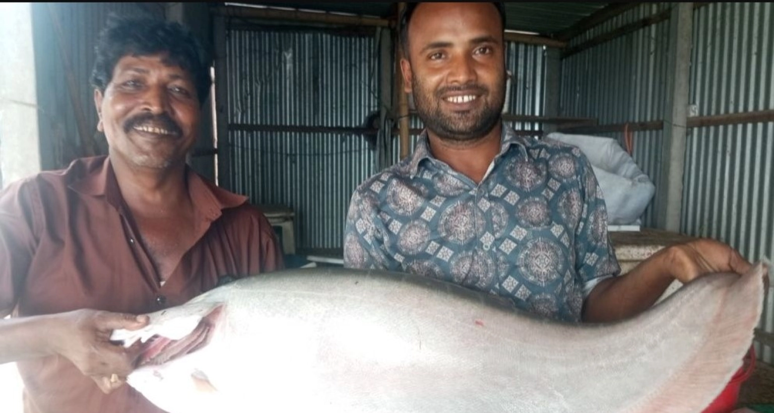 ১১ হাজার ৬৫০ টাকায় বিক্রি হলো পদ্মায় ধরা পড়া ৮ কেজির চিতল