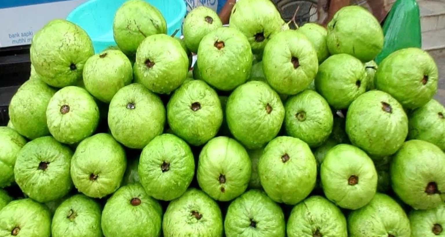 যারা-ভুলেও-পেয়ারা-খাবেন-না