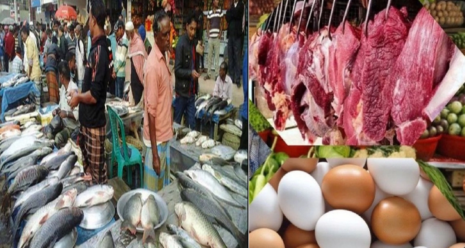 সব-ধরনের-মাছ-কেজিতে-কমল-৫০-টাকা-সুখবর-গরুর-মাংসে