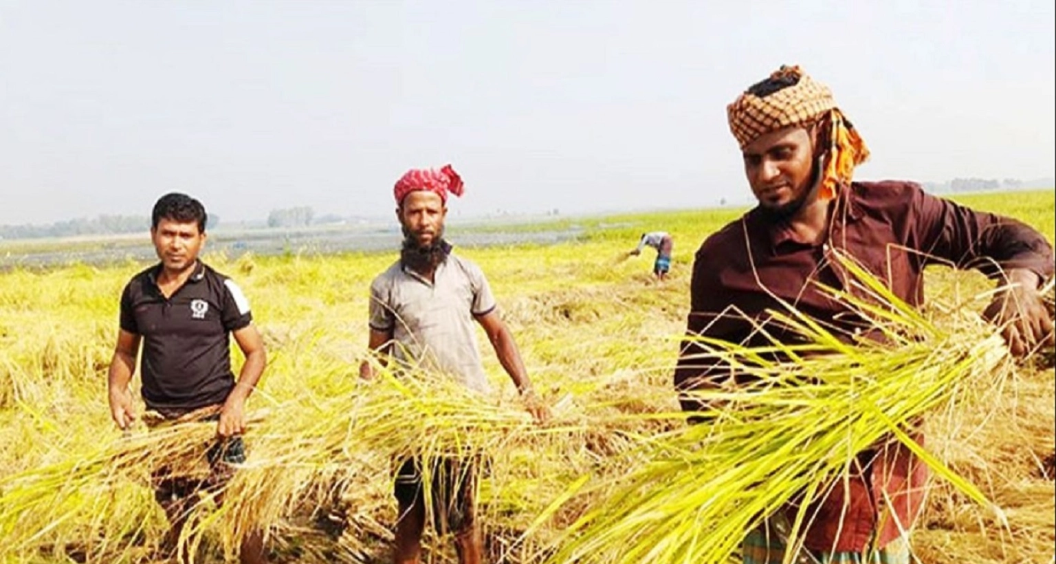 সারা দেশে যত টাকা পর্যন্ত সুদসহ কৃষিঋণ মওকুফের ঘোষণা