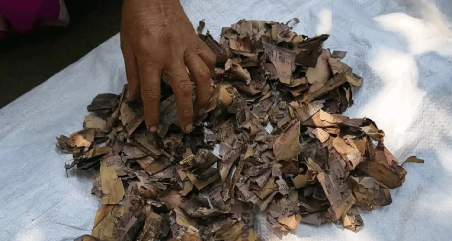 পচে-ঝাঁঝরা ও টুকরা টুকরা হয়ে গেছে জর্দার কৌটায় রাখা ১০ বছরের সঞ্চয়