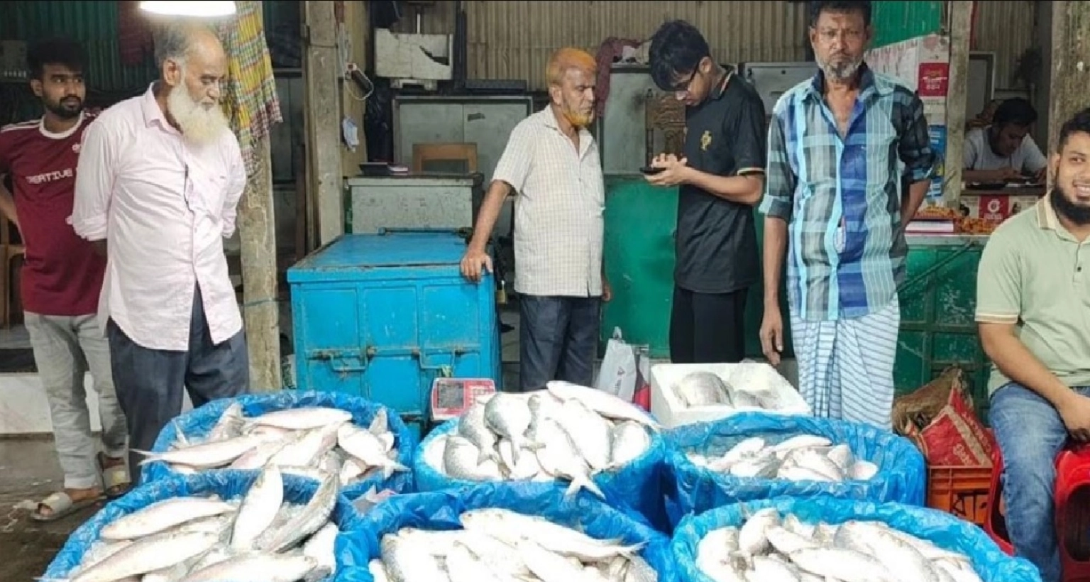 জানেন আজ চাঁদপুরে ইলিশের কেজি কত হলো?