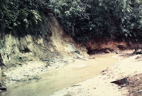 লাউয়াছড়া জাতীয় উদ্যানে কাটছে বন,ধসছে মাটি, ভড়ছে ছড়া