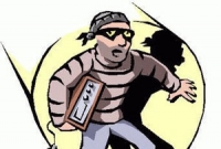 মহিলা এমপির বাসায় চুরি : আটক ২