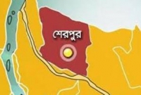 হাতির ময়নাতদন্ত, থানায় জিডি হাতির ময়নাতদন্ত, থানায় জিডি