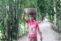 দিনমজুরের কাজ করে গোল্ডেন জিপিএ ৫