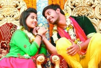 ‘পারবো না আমি ছাড়তে তোকে’