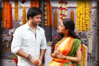 কথা দিয়েও ঢাকায় এলেন না সেই পাওলি দাম!