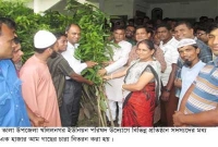 খলিলনগর ইউনিয়ন পরিষদের উদ্যোগে গাছের চারা বিতরণ