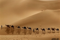 সফরের সময় মহানবী (সা.) রাতের বেলা যেভাবে ঘুমাতেন