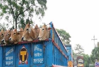 ঢাকা-টাঙ্গাইল মহাসড়কের ৬০ কিলোমিটার দীর্ঘ যানজট