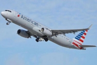 লাঠি নিয়ে বিমান চুরি!