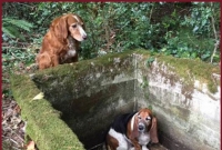 বন্ধুত্বের টানে এক সপ্তাহ সঙ্গিনীর অপেক্ষায়