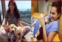 ডুড আর কুরোর প্রেমে মজেছেন আনুশকা, সোনাক্ষী!