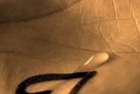 গল্পের নায়িকা !