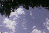 সুদীপ বিশ্বাসের কবিতা 'শিরোনামহীন কাতরতা' 