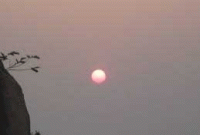 নাজমুল ইসলামের কবিতা 'সাদা কাক' 