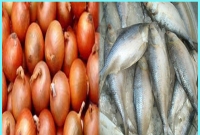 ভারতের পেঁয়াজে ইলিশ!