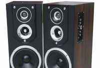 হিন্দি গান বাজিয়ে আনন্দ !