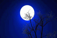 নাজমুল ইসলামের কবিতা ‘মেঘভেলার সওয়ার’ 