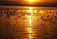 জালেমদের আল্লাহ পছন্দ করেন না