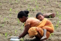 মায়ের নিঃস্বার্থ ভালোবাসা