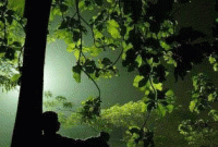 নাজমুল ইসলামের কবিতা ‘তুমি নেই’ 