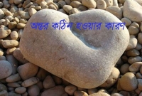 ১৬টি কারণে মানুষের অন্তর কঠিন হয়ে যায়