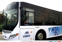 চালক ছাড়াই ব্যস্ত রাস্তায় চলল বাস!