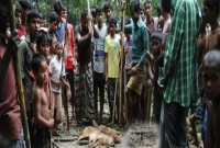 শিয়ালের দখলে ৩ গ্রাম, আহত ৩০!